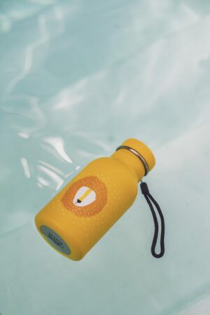 Gourde Lion 350 mL - TRIXIE – Image 4
