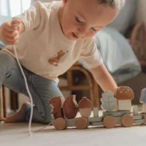 TRAIN A BLOCS ECUREUIL - LITTLE DUTCH