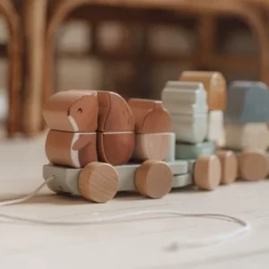 TRAIN A BLOCS ECUREUIL - LITTLE DUTCH – Image 5