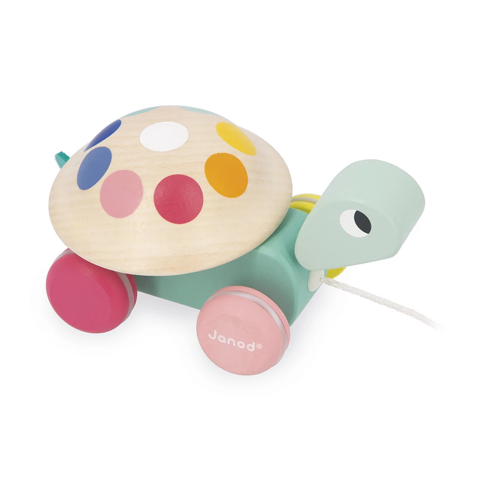 Tortue à promener Zigolos - JANOD