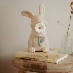 Veilleuse Lapin Fairy Garden – LITTLE DUTCH